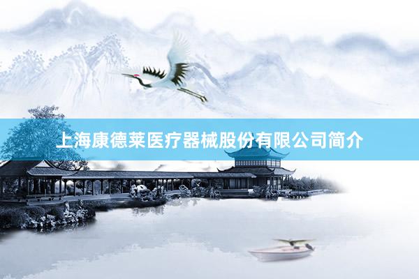 上海康德莱医疗器械股份有限公司简介