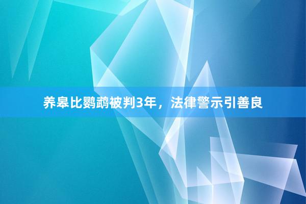 养皋比鹦鹉被判3年,法律警示引善良