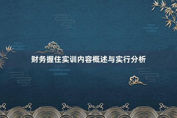 财务握住实训内容概述与实行分析