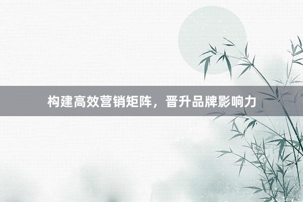 构建高效营销矩阵，晋升品牌影响力